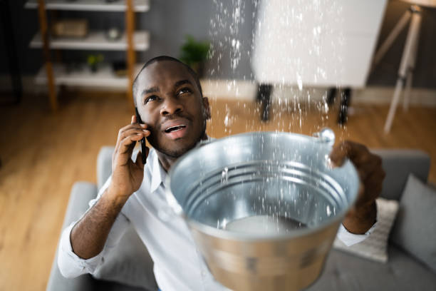 Best Emergency water damage restoration  in Forsyth, MT