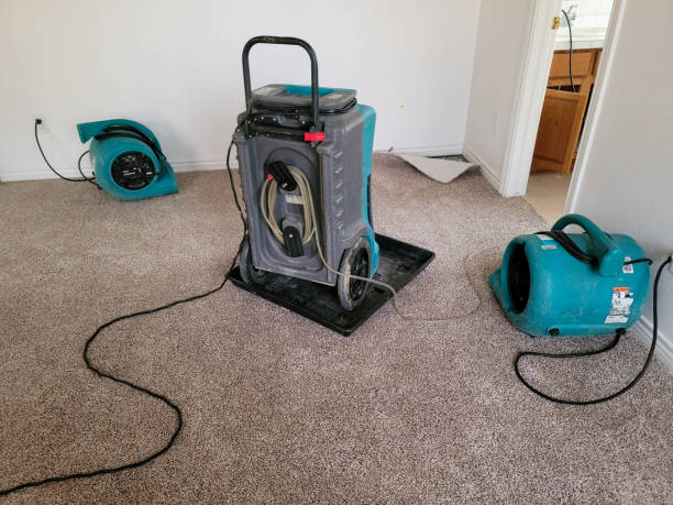 Best Professional water damage repair  in Forsyth, MT