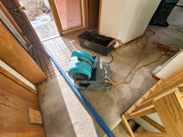 Best Water damage cleanup near me  in Forsyth, MT