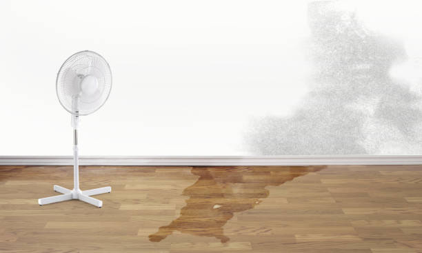 Best Water damage restoration near me  in Forsyth, MT