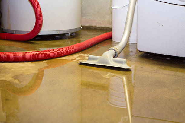 Best Local water damage restoration  in Forsyth, MT